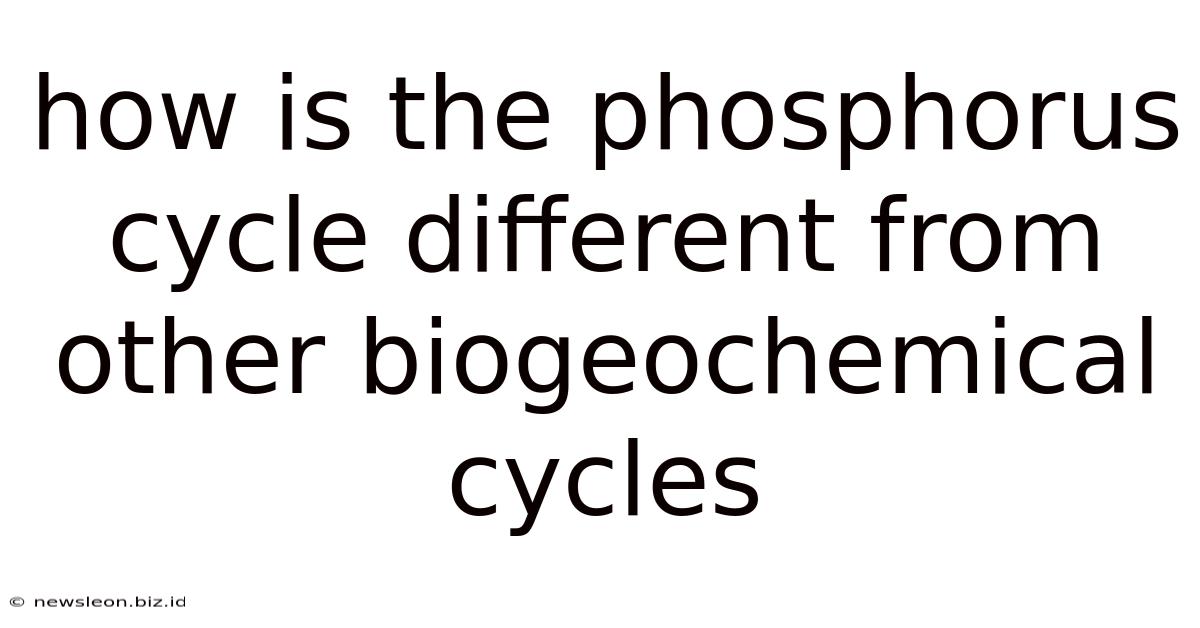 How Is The Phosphorus Cycle Different From Other Biogeochemical Cycles