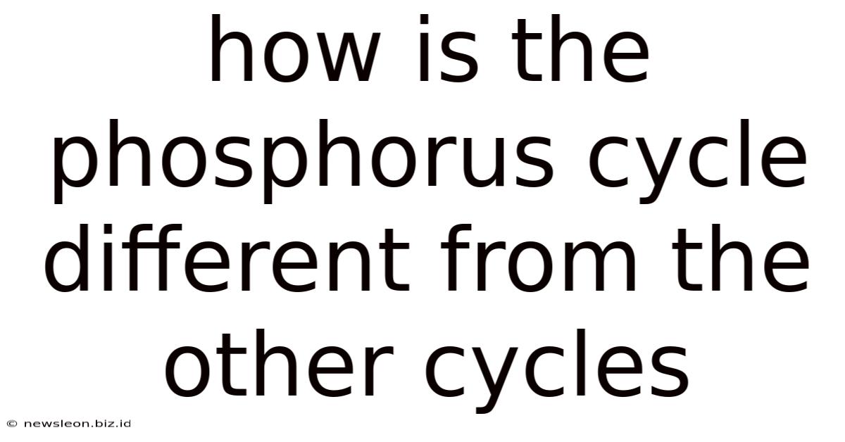How Is The Phosphorus Cycle Different From The Other Cycles