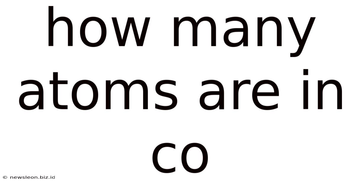 How Many Atoms Are In Co