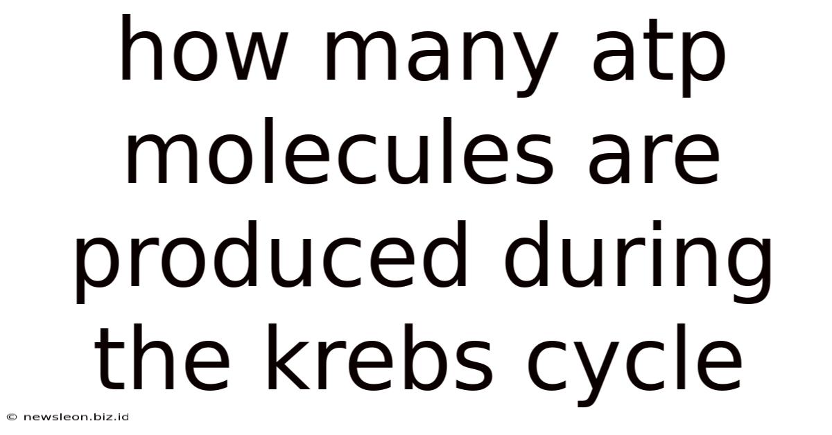 How Many Atp Molecules Are Produced During The Krebs Cycle
