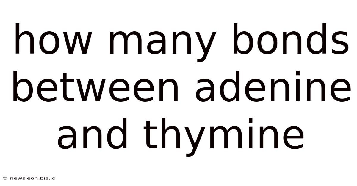How Many Bonds Between Adenine And Thymine