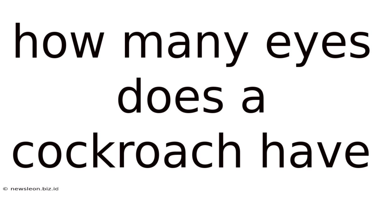How Many Eyes Does A Cockroach Have