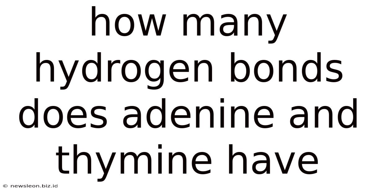 How Many Hydrogen Bonds Does Adenine And Thymine Have