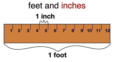 How Many Inches Is 4.5 Feet