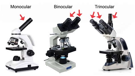 How Many Lenses Does A Compound Microscope Have