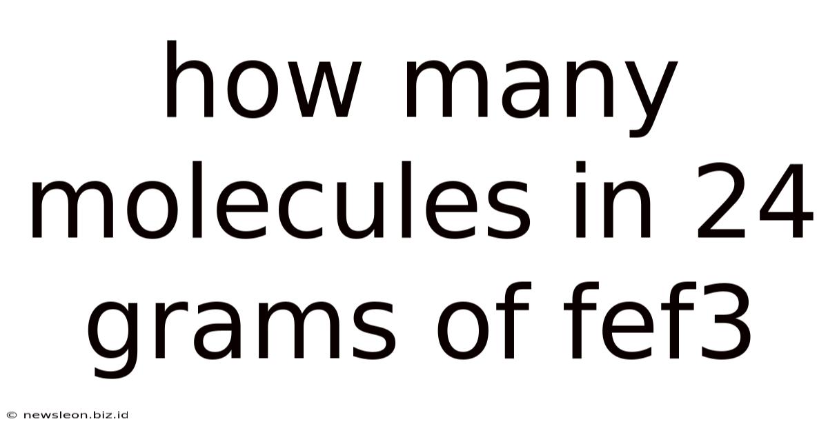 How Many Molecules In 24 Grams Of Fef3