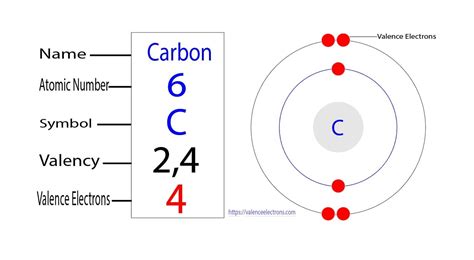 How Many Total Electrons Does Carbon Have