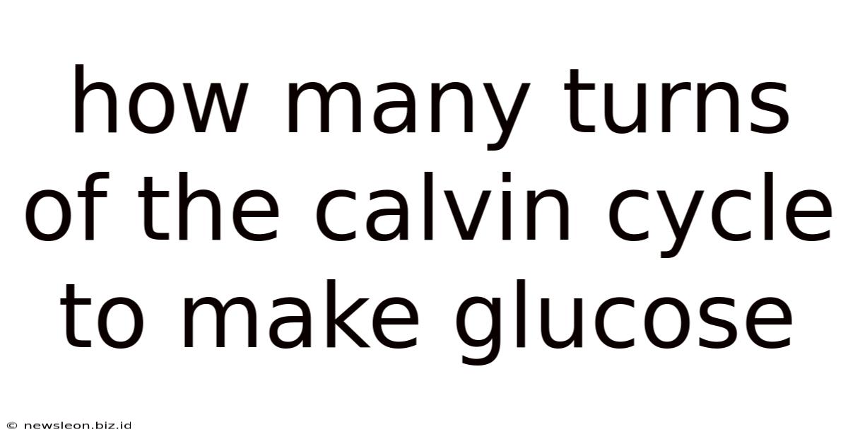How Many Turns Of The Calvin Cycle To Make Glucose