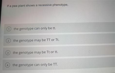 If A Pea Plant Shows A Recessive Phenotype