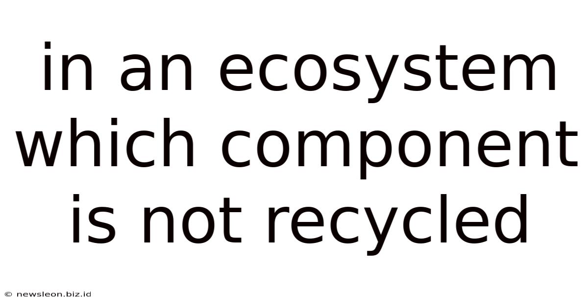 In An Ecosystem Which Component Is Not Recycled