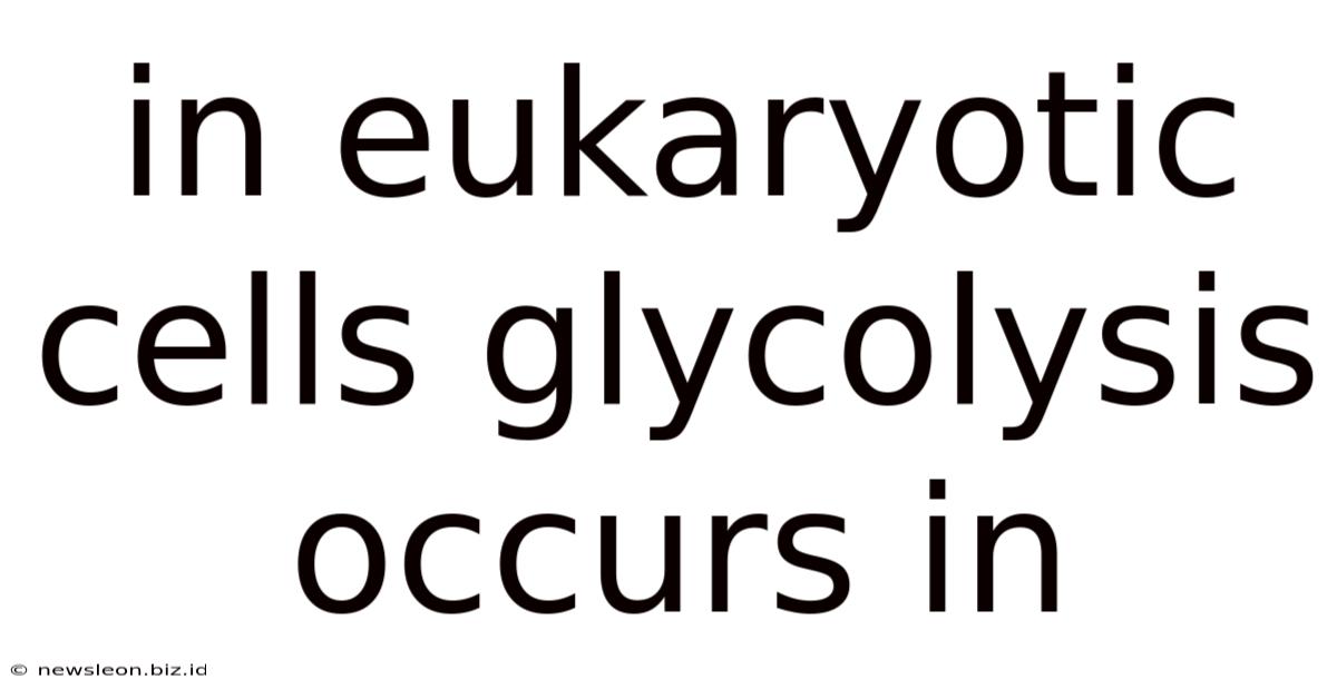 In Eukaryotic Cells Glycolysis Occurs In