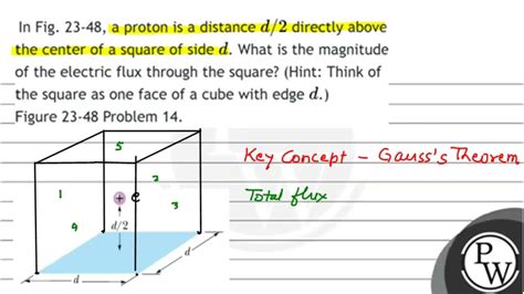 In The Figure A Proton Is A Distance D/2