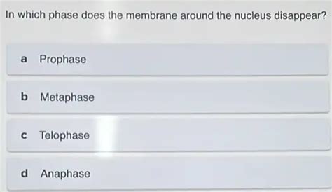 In Which Phase Does The Membrane Around The Nucleus Disappear