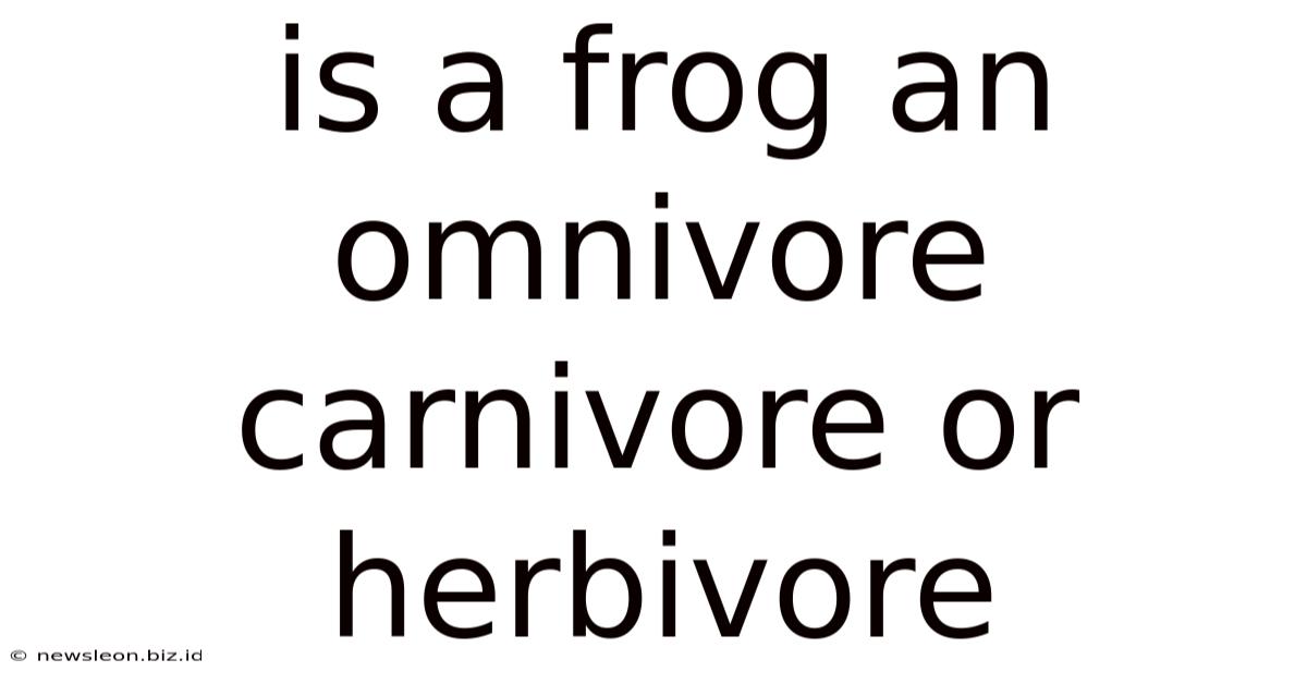 Is A Frog An Omnivore Carnivore Or Herbivore