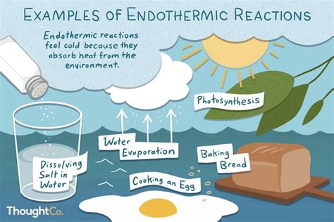 Is Evaporation Exothermic Or Endothermic Process