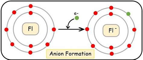 Is Fluorine A Cation Or Anion