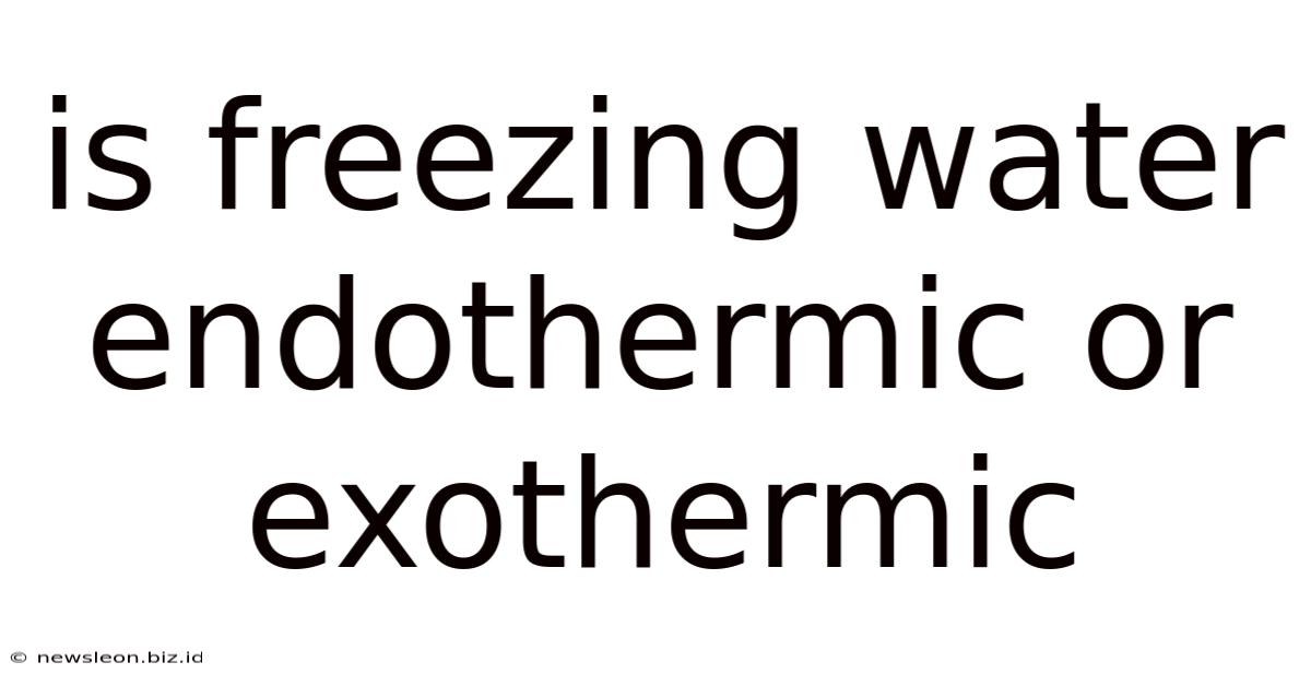 Is Freezing Water Endothermic Or Exothermic