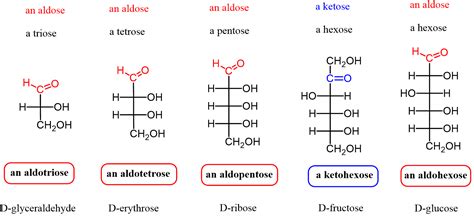 Is Fructose An Aldose Or Ketose