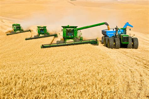 Is Grain Farming Subsistence Or Commercial