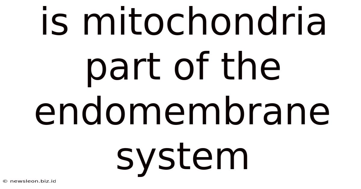 Is Mitochondria Part Of The Endomembrane System