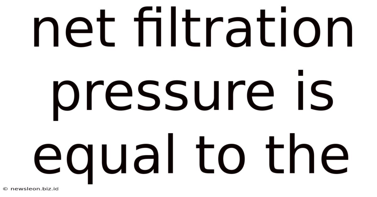 Net Filtration Pressure Is Equal To The