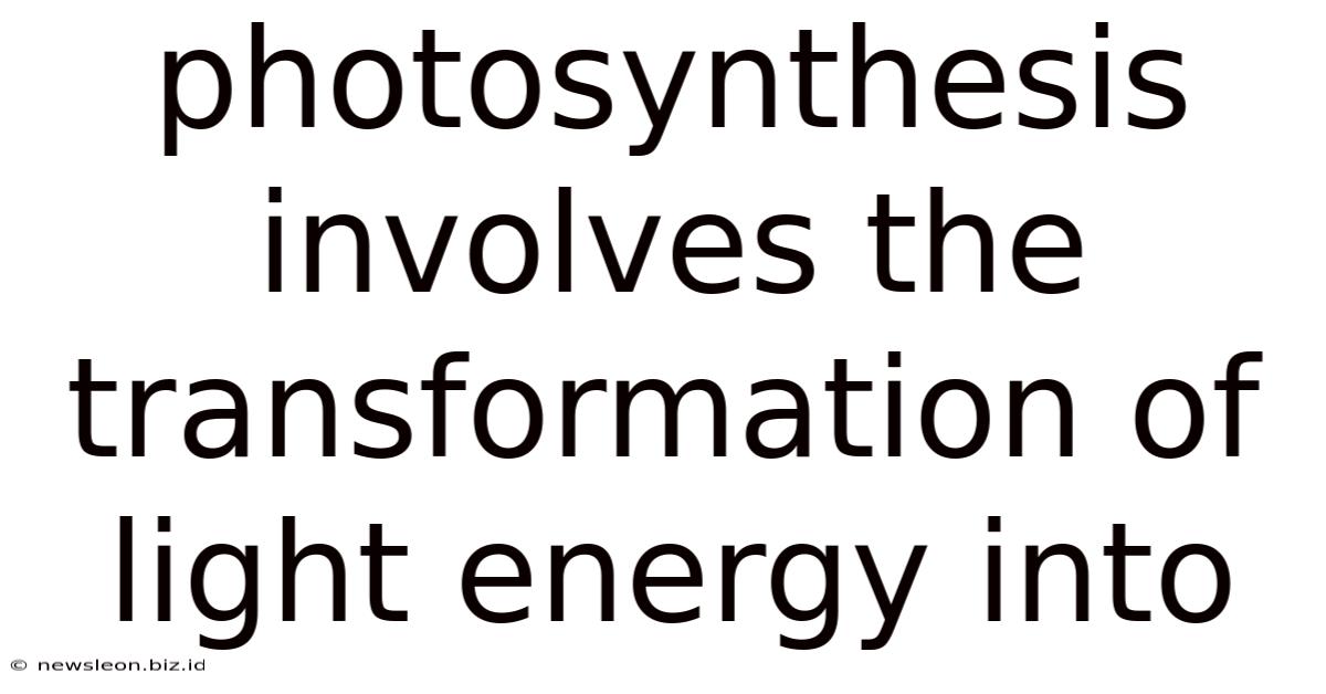 Photosynthesis Involves The Transformation Of Light Energy Into