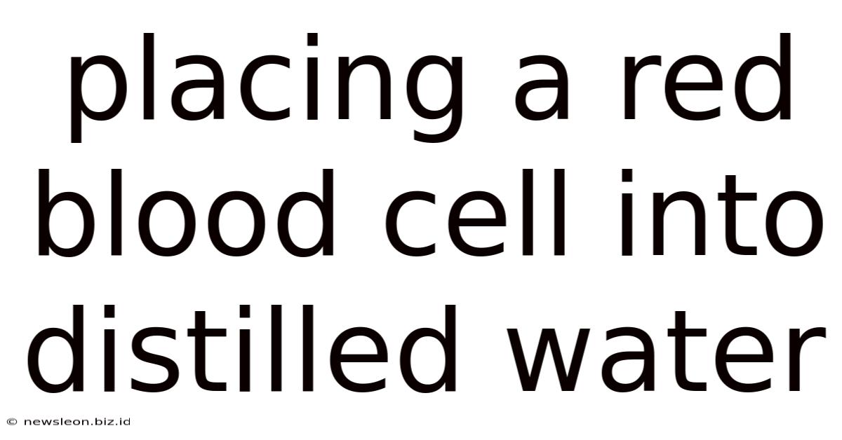 Placing A Red Blood Cell Into Distilled Water