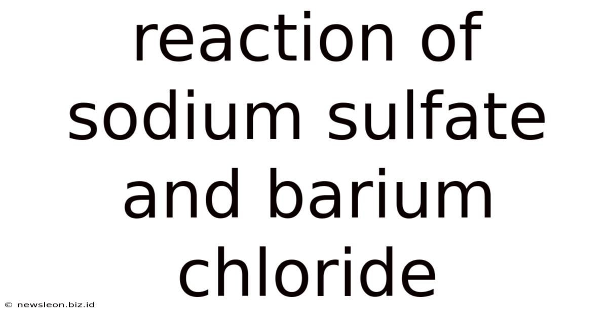 Reaction Of Sodium Sulfate And Barium Chloride