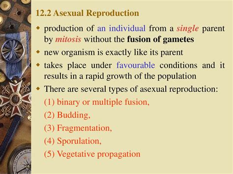 Reproduction Without The Fusion Of Gametes