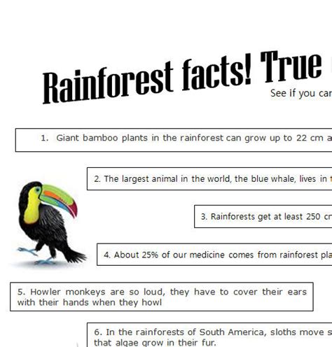 Select All Of The Statements Which Are True About Rainforests.