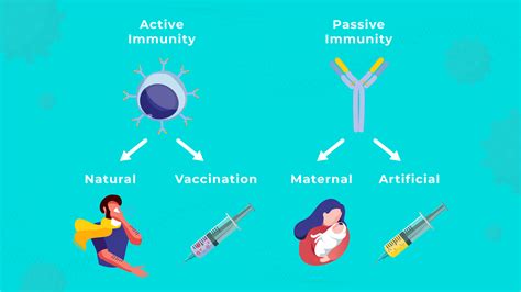 Select The Correct Statement About Active And Passive Immunity