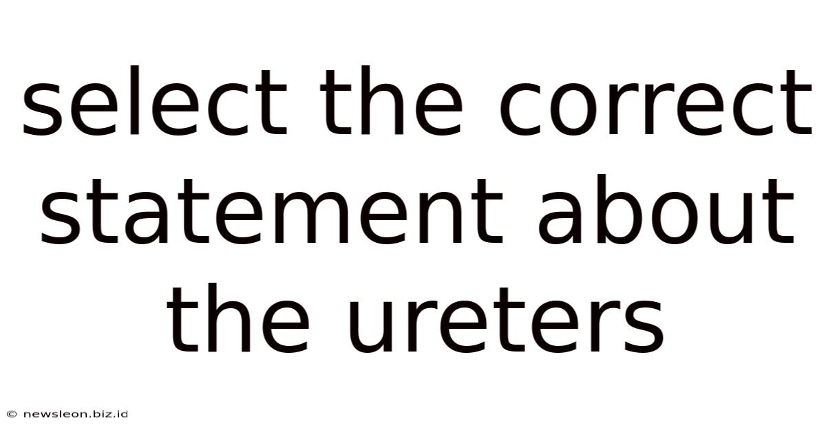 Select The Correct Statement About The Ureters