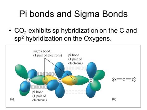 Sigma And Pi Bonds In Co2