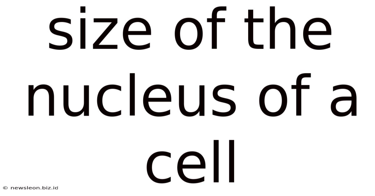 Size Of The Nucleus Of A Cell