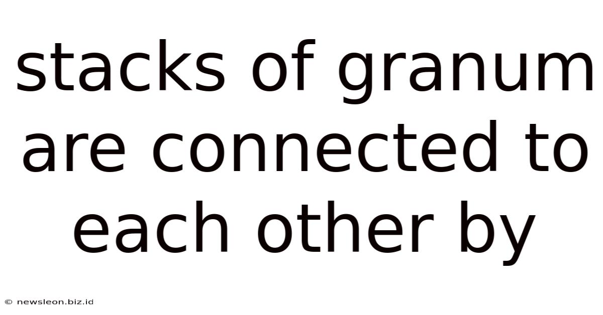 Stacks Of Granum Are Connected To Each Other By
