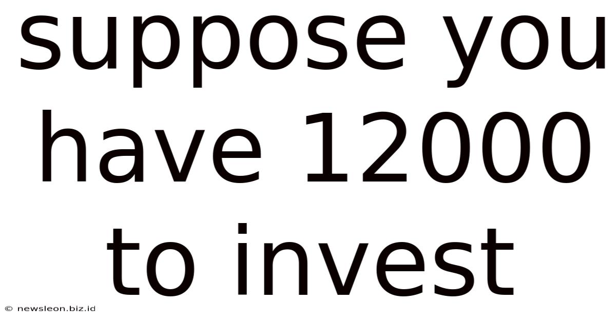 Suppose You Have 12000 To Invest