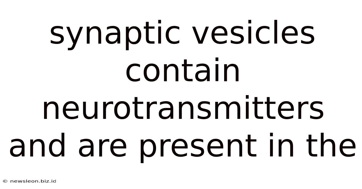 Synaptic Vesicles Contain Neurotransmitters And Are Present In The