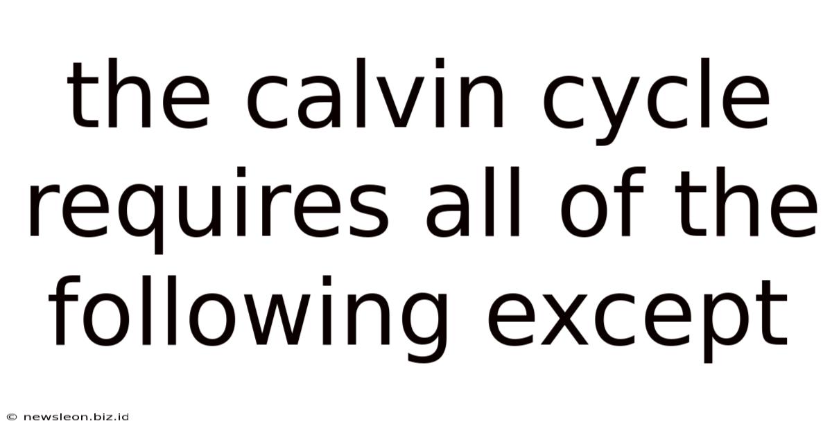 The Calvin Cycle Requires All Of The Following Except