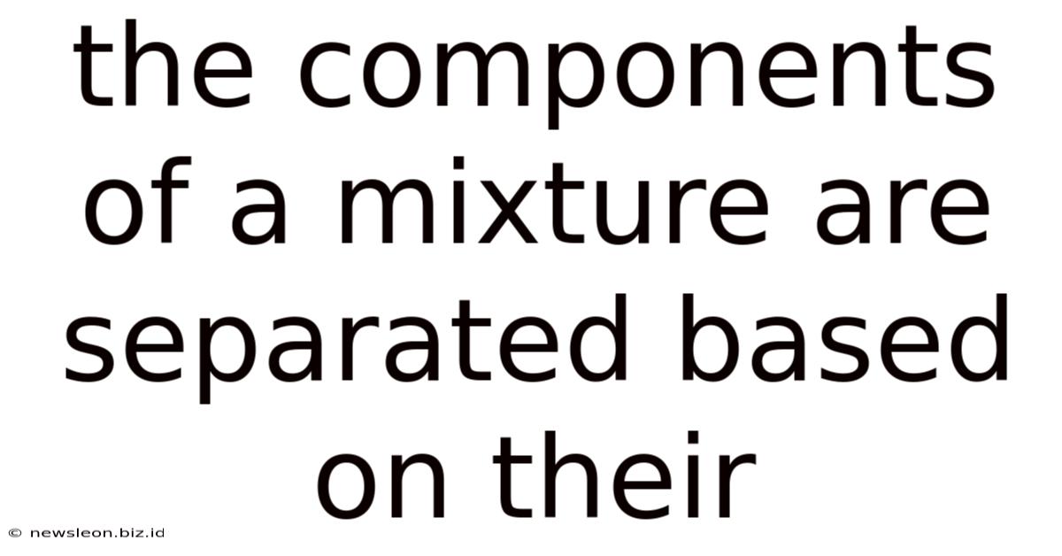 The Components Of A Mixture Are Separated Based On Their