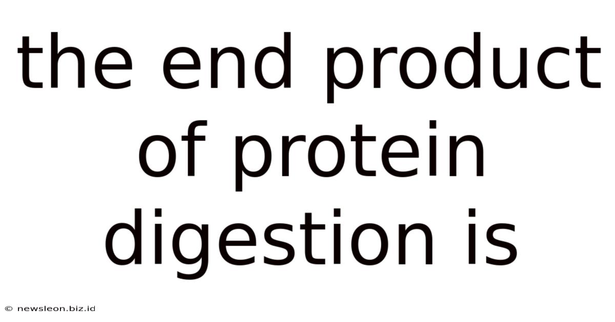 The End Product Of Protein Digestion Is