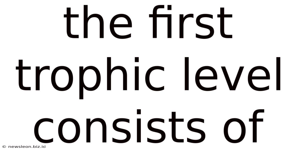 The First Trophic Level Consists Of