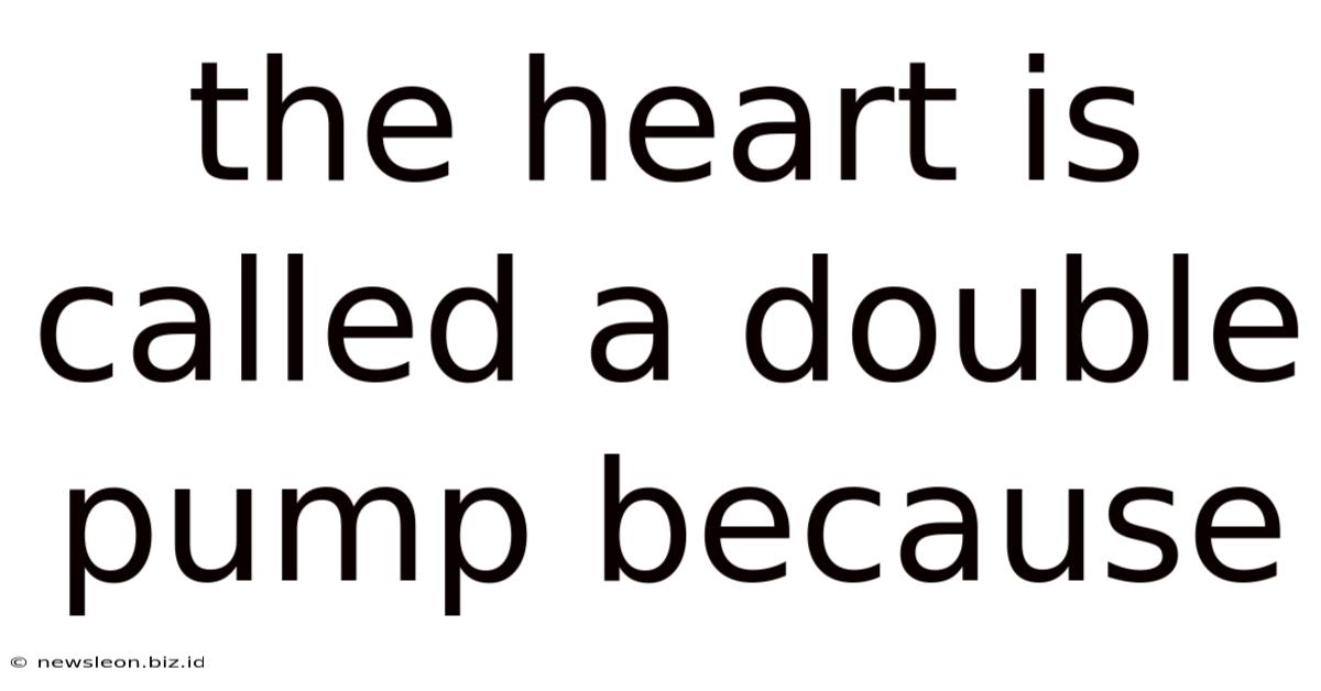 The Heart Is Called A Double Pump Because