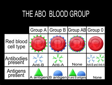 The Inheritance Of Abo Blood Groups Illustrates