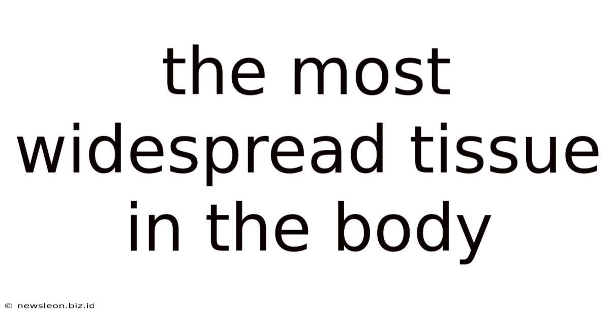 The Most Widespread Tissue In The Body
