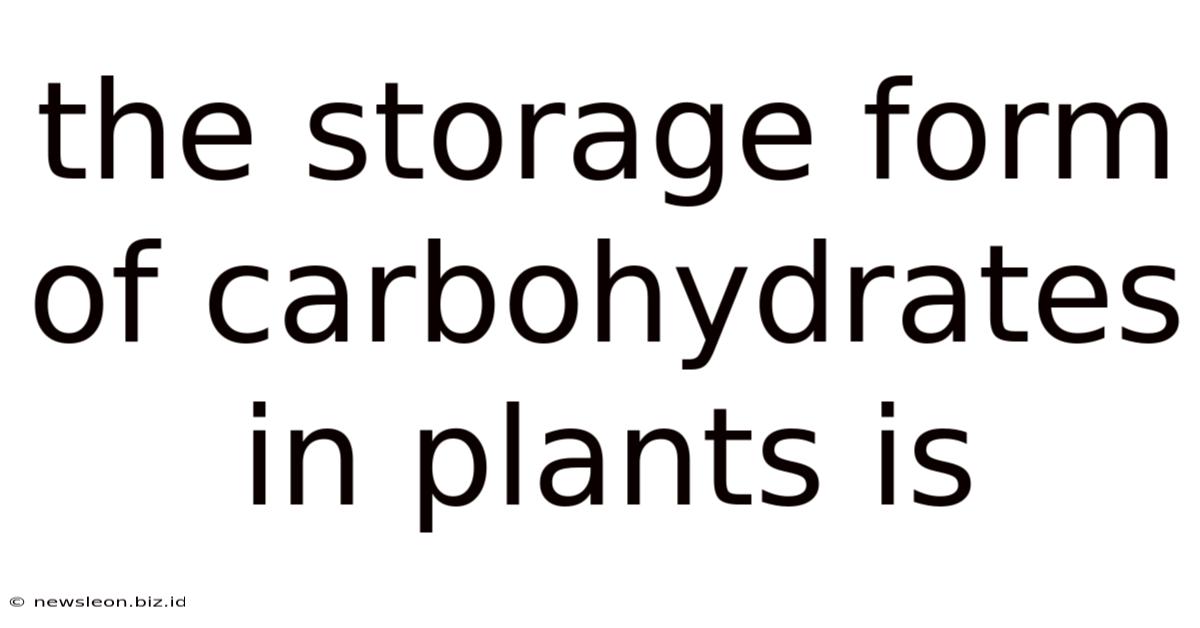 The Storage Form Of Carbohydrates In Plants Is