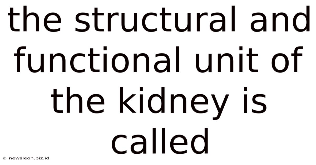 The Structural And Functional Unit Of The Kidney Is Called
