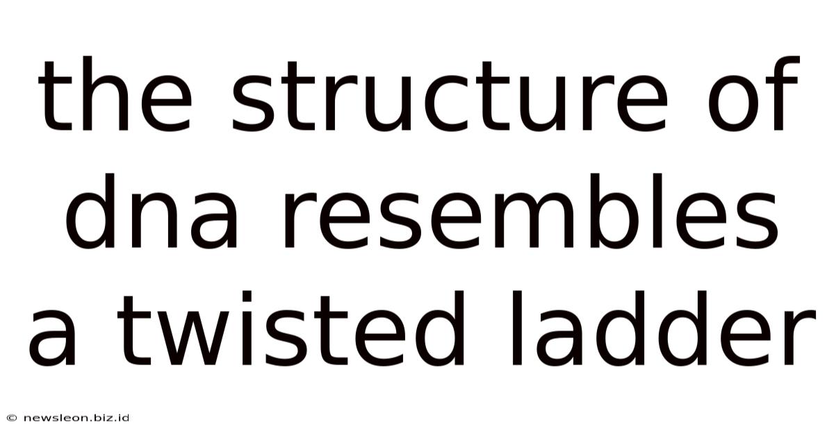 The Structure Of Dna Resembles A Twisted Ladder