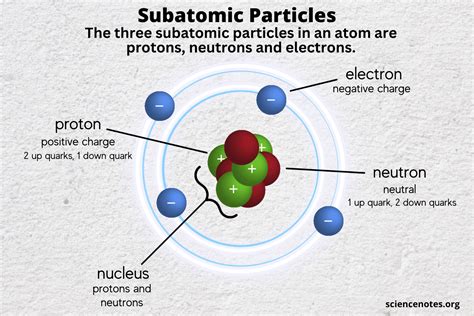 The Subatomic Particle With A Positive Charge Is The