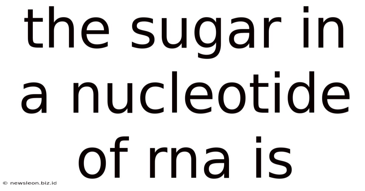 The Sugar In A Nucleotide Of Rna Is