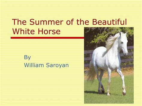 The Summer Of The White Horse